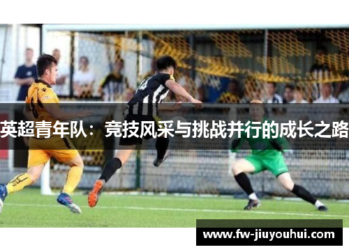 英超青年队：竞技风采与挑战并行的成长之路