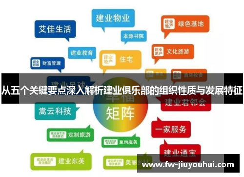 从五个关键要点深入解析建业俱乐部的组织性质与发展特征