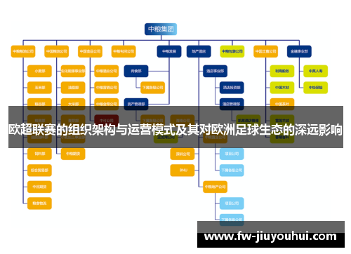 欧超联赛的组织架构与运营模式及其对欧洲足球生态的深远影响
