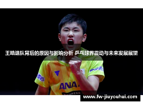 王皓退队背后的原因与影响分析 乒乓球界震动与未来发展展望