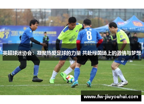 英超球迷协会：凝聚热爱足球的力量 共赴绿茵场上的激情与梦想